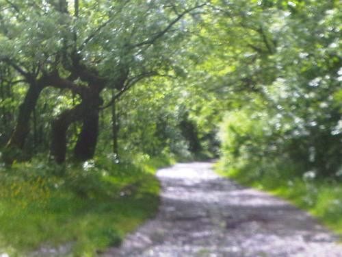 מלון Treorchy The Hendrewen מראה חיצוני תמונה